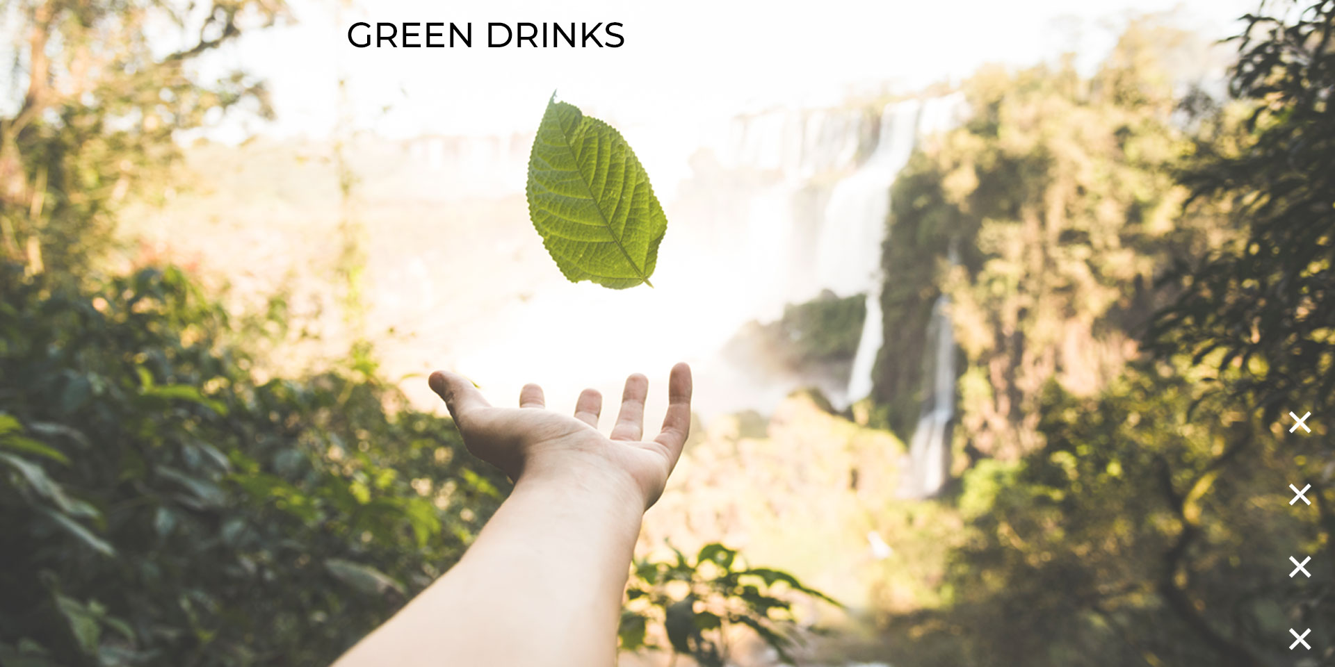 20% de descuento para socios AMDD en el Taller de Comunicación Sustentable de la Academia Green Drinks